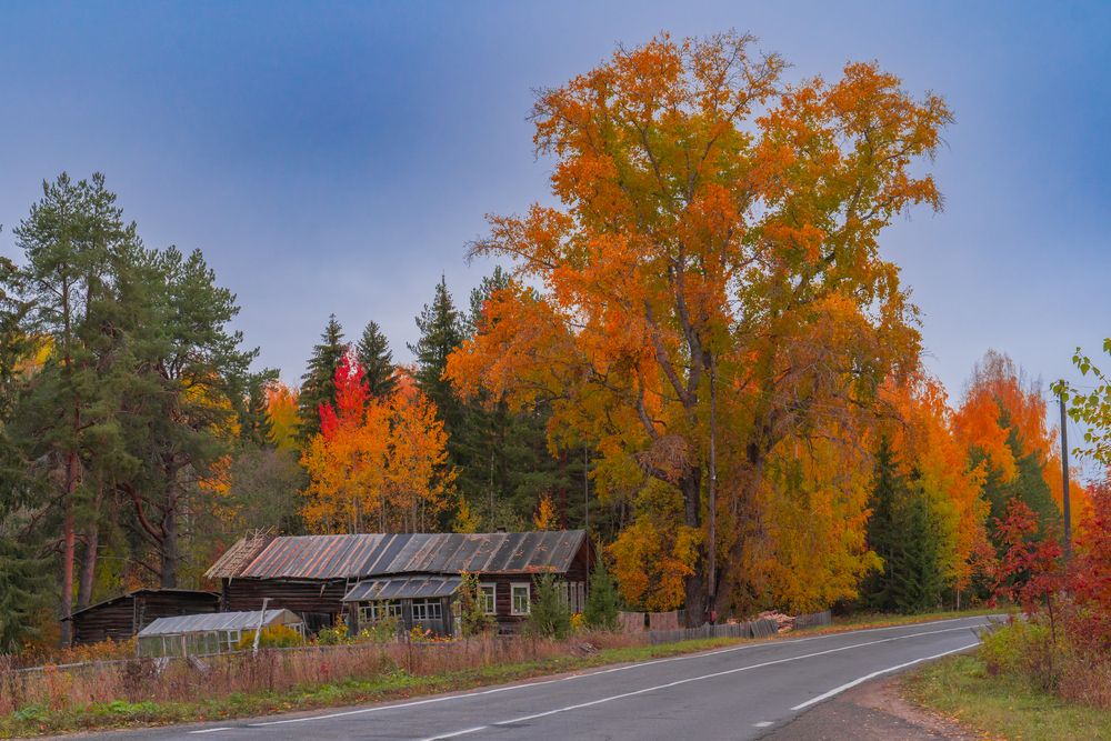 Photograph by Андрей Вешняков