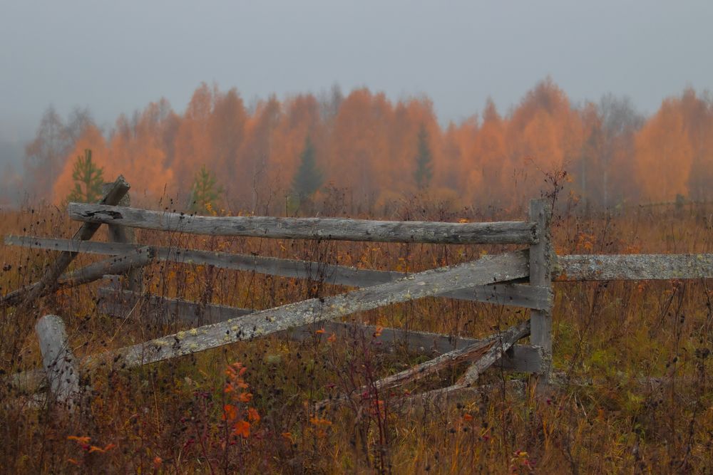 Photograph by Андрей Вешняков