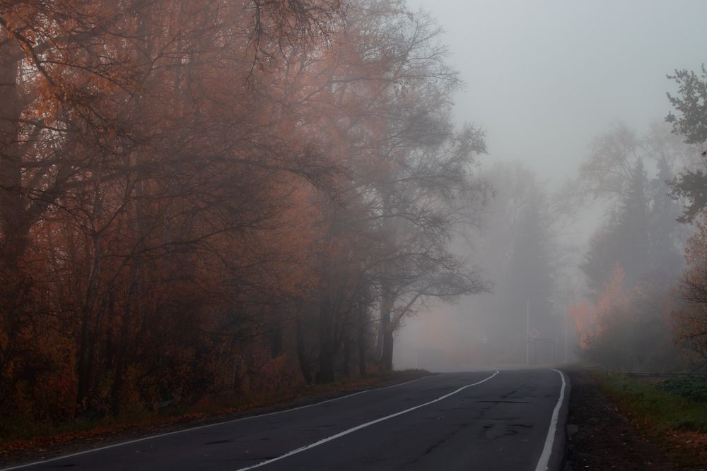 Photograph by Андрей Вешняков