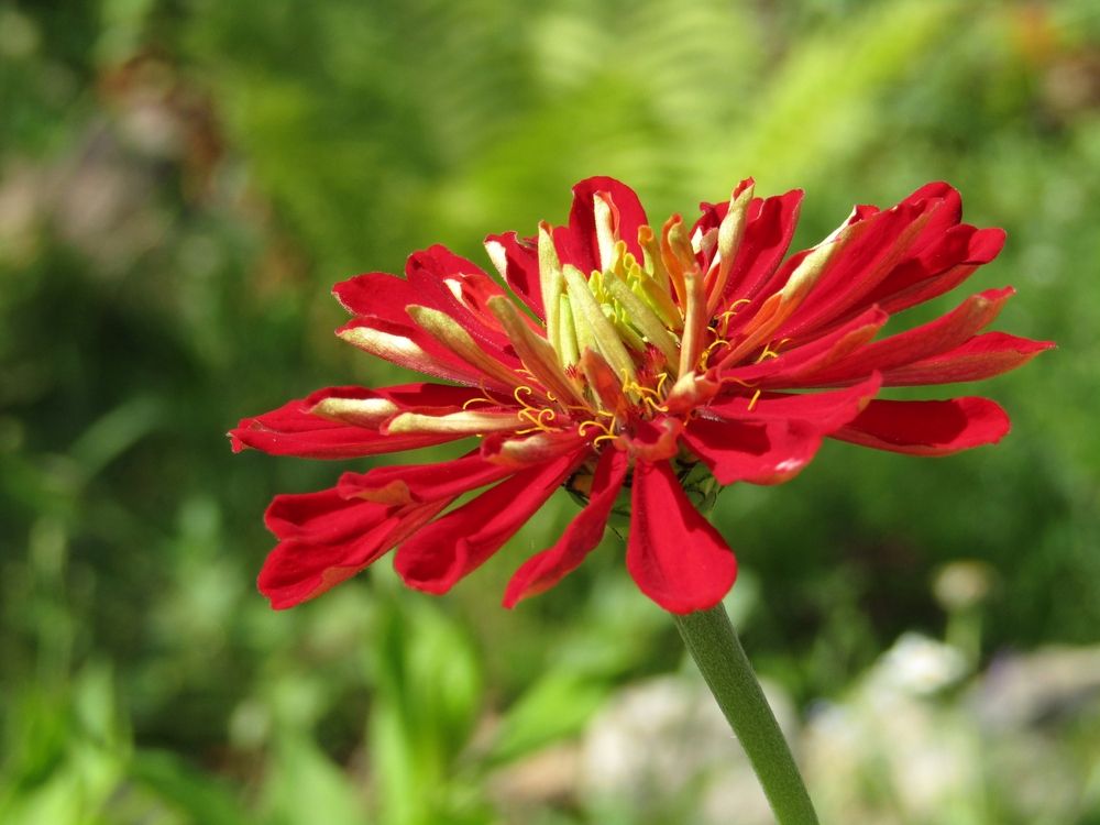 Photograph by Владимир Перминов