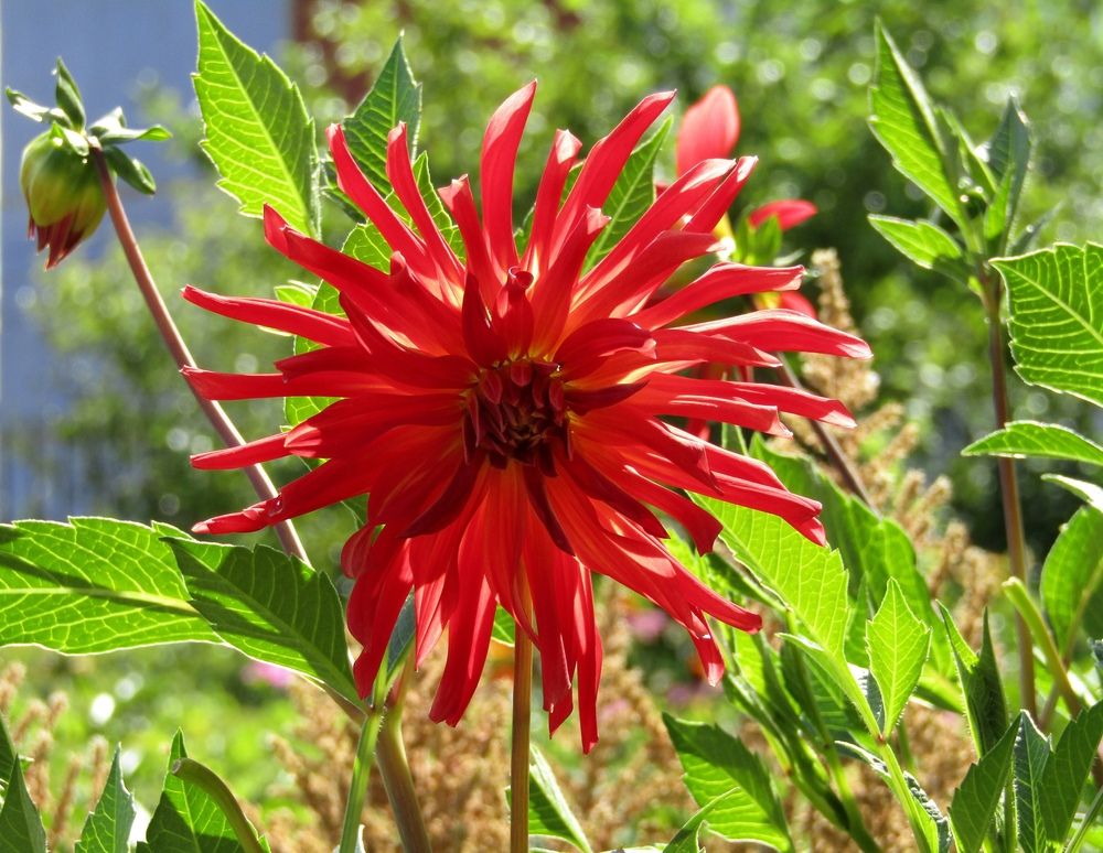 Photograph by Владимир Перминов