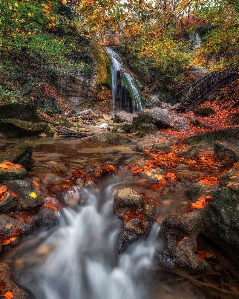 Photograph by Дмитренко Екатерина