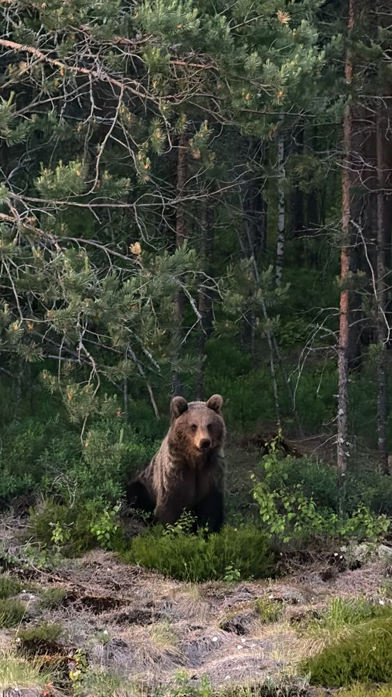 Photograph by Наталья Иванова