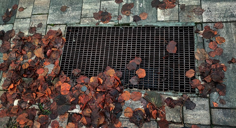 Photograph by Елена Юдина