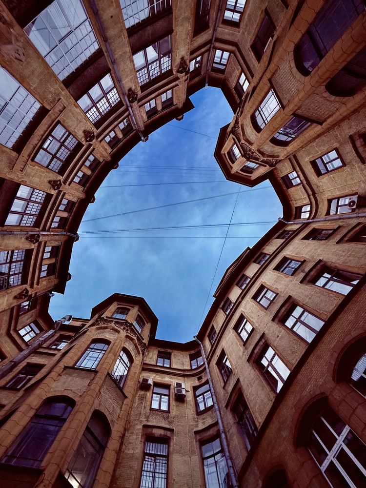 Фотография автора Софья Сотникова