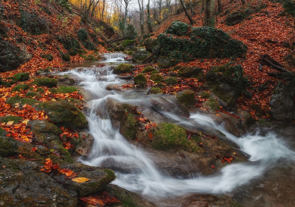 Photograph by Дмитренко Екатерина