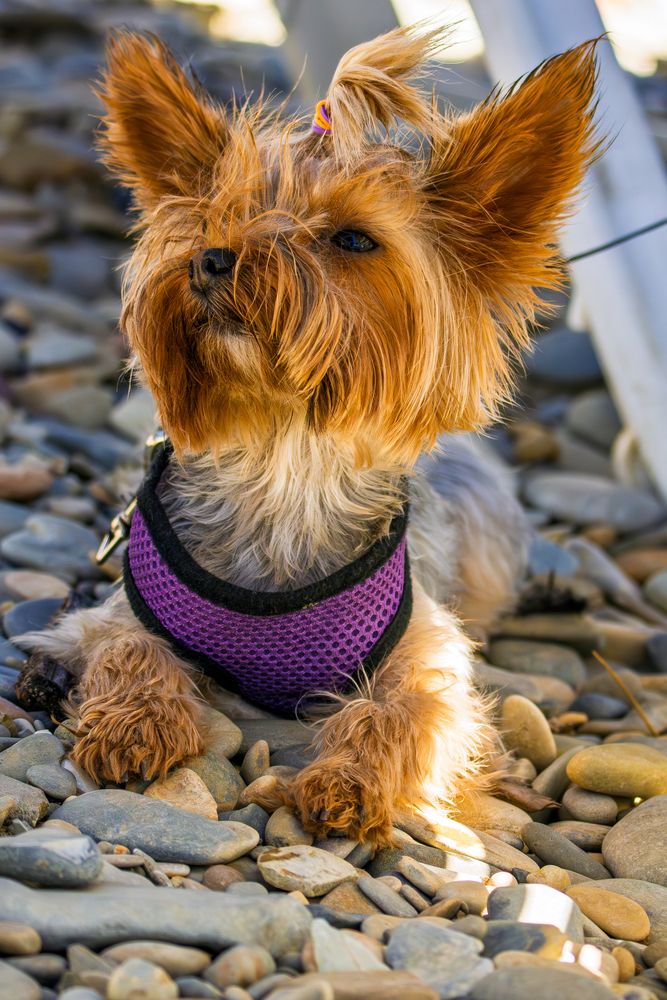 Фотография автора Владимир Хакимов