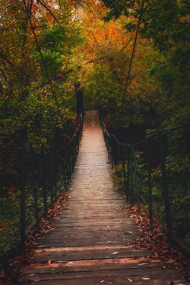 Photograph by Михаил Мак