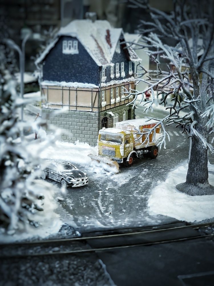 Фотография автора Алена Самошина