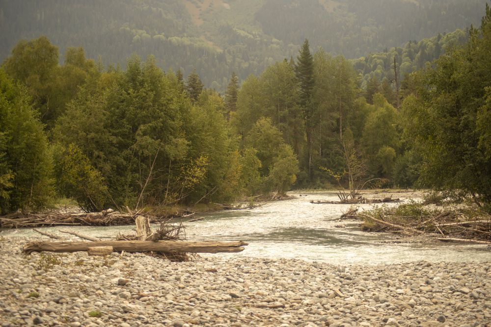 Photograph by Денис Смирнов