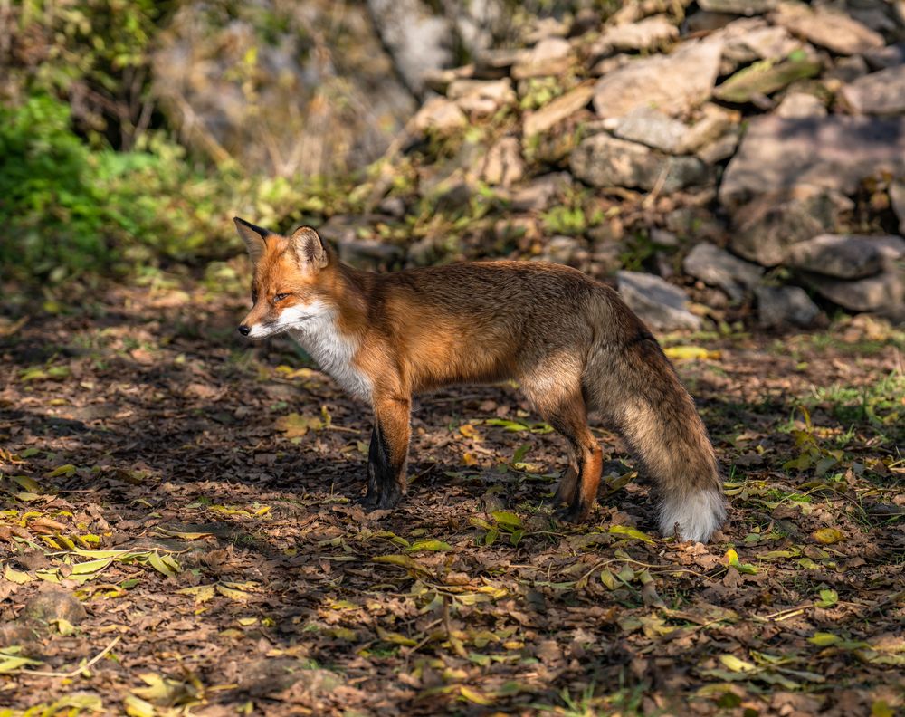 Photograph by Константин Яковлев