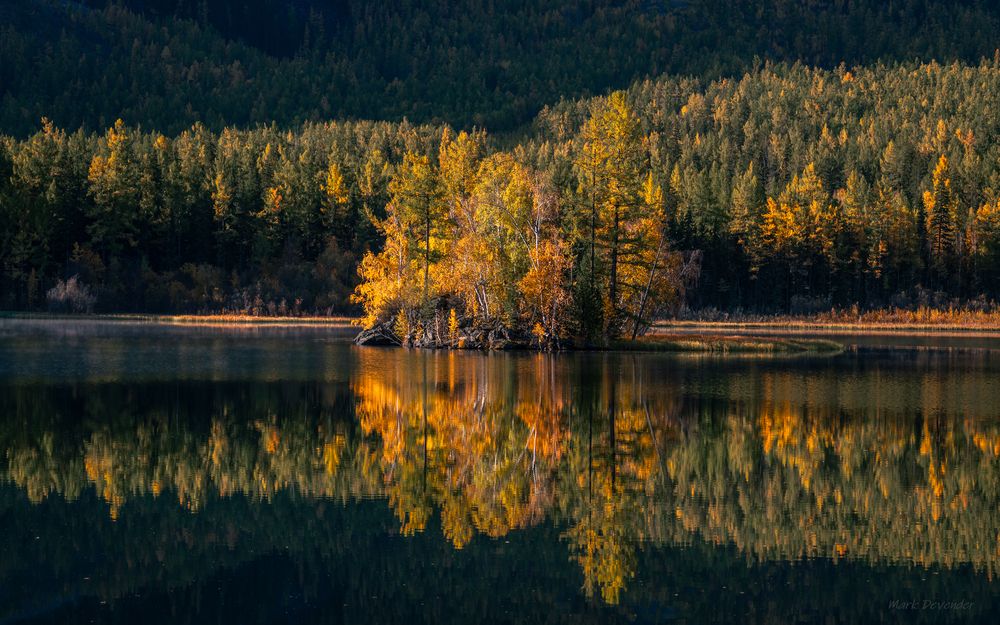 Photograph by Mark Devender