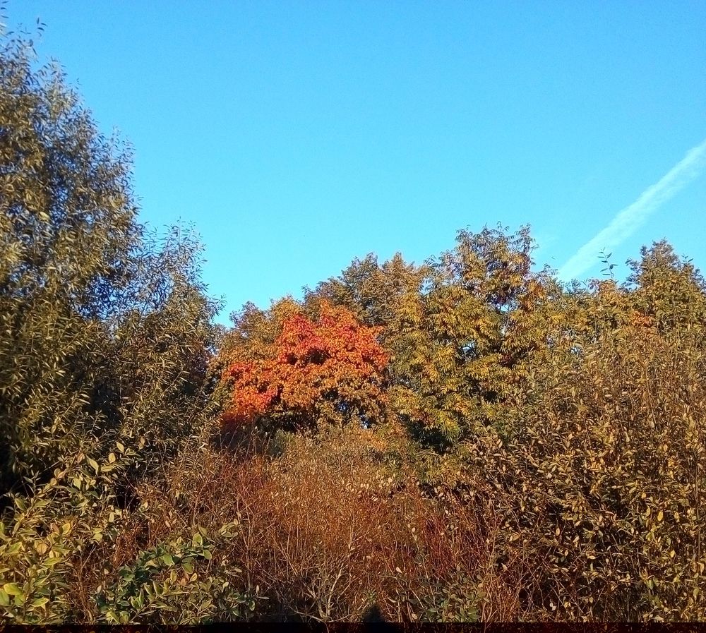 Photograph by Людмила Ковалева