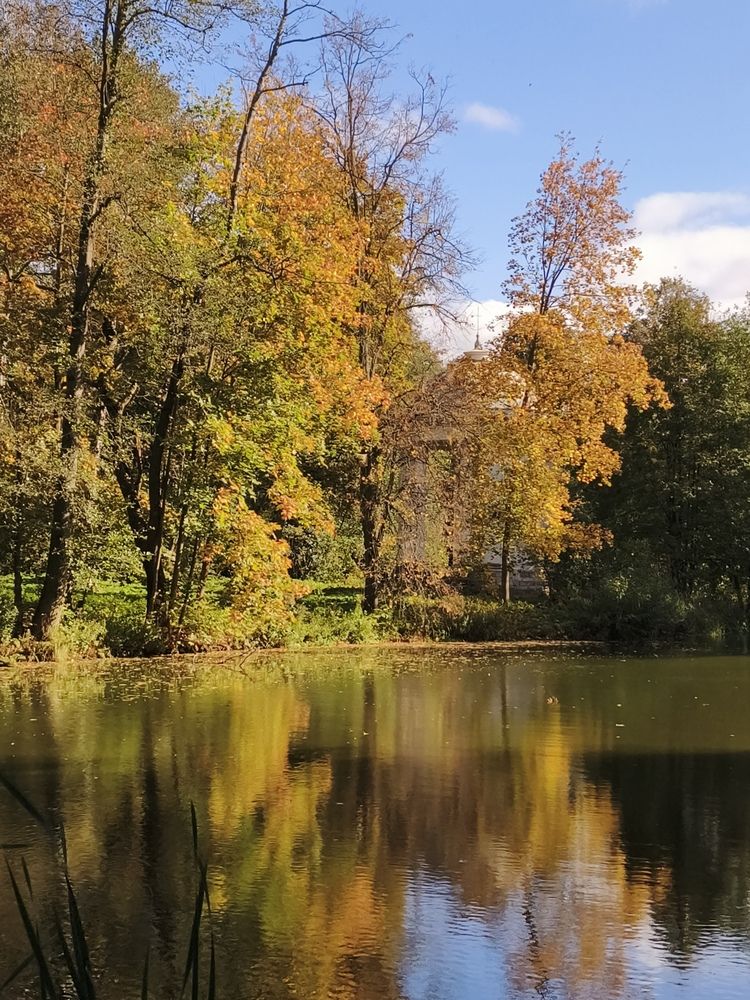 Photograph by Наталия