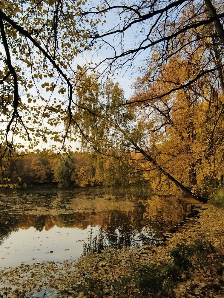 Photograph by Наталия