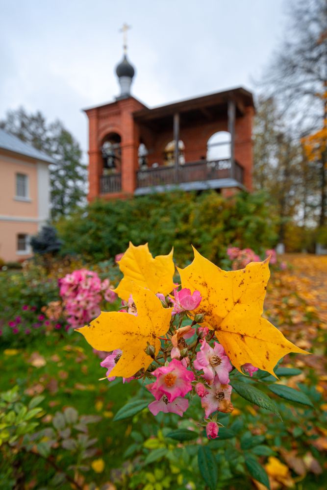 Photograph by Максим Жухлистов