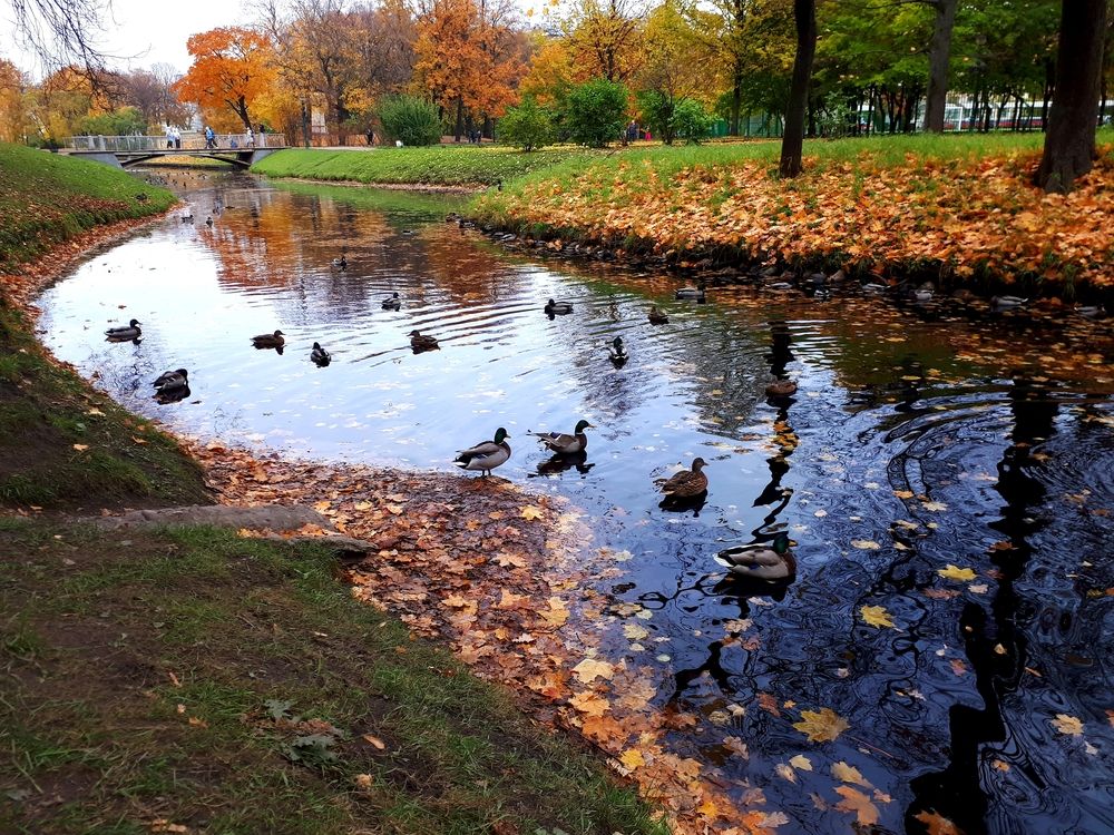 Photograph by Людмила Ковалева