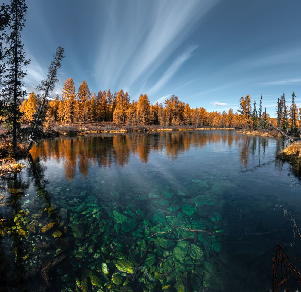 Photograph by Mark Devender