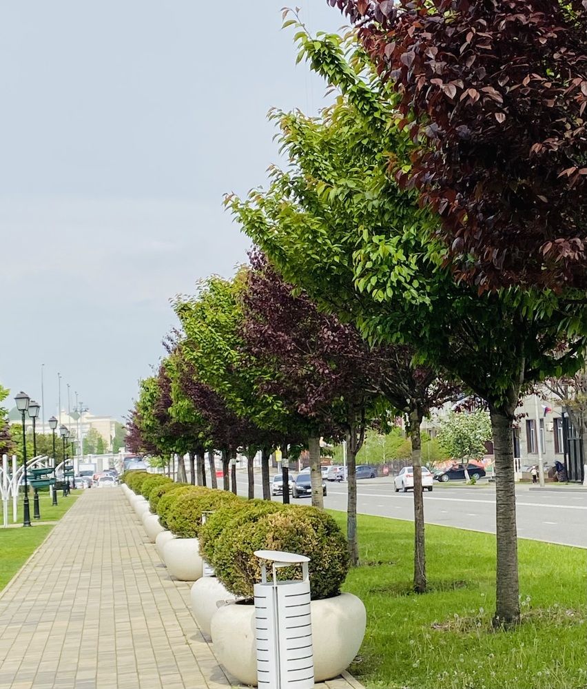 Photograph by Наталья Тарабычина