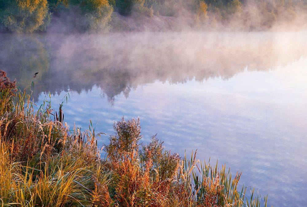 Photograph by Евгений Гонтов