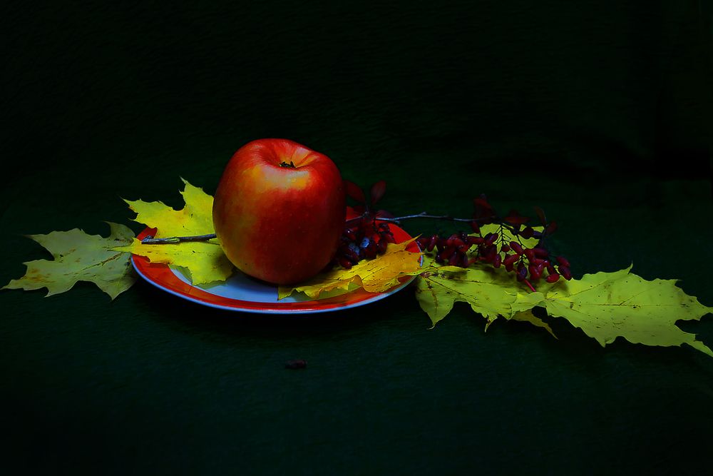 Photograph by Николай Протасеня