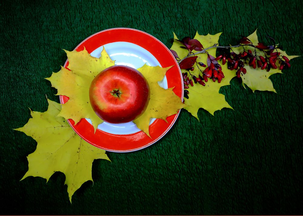 Photograph by Николай Протасеня