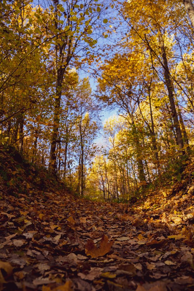 Фотография автора Василиса Новикова