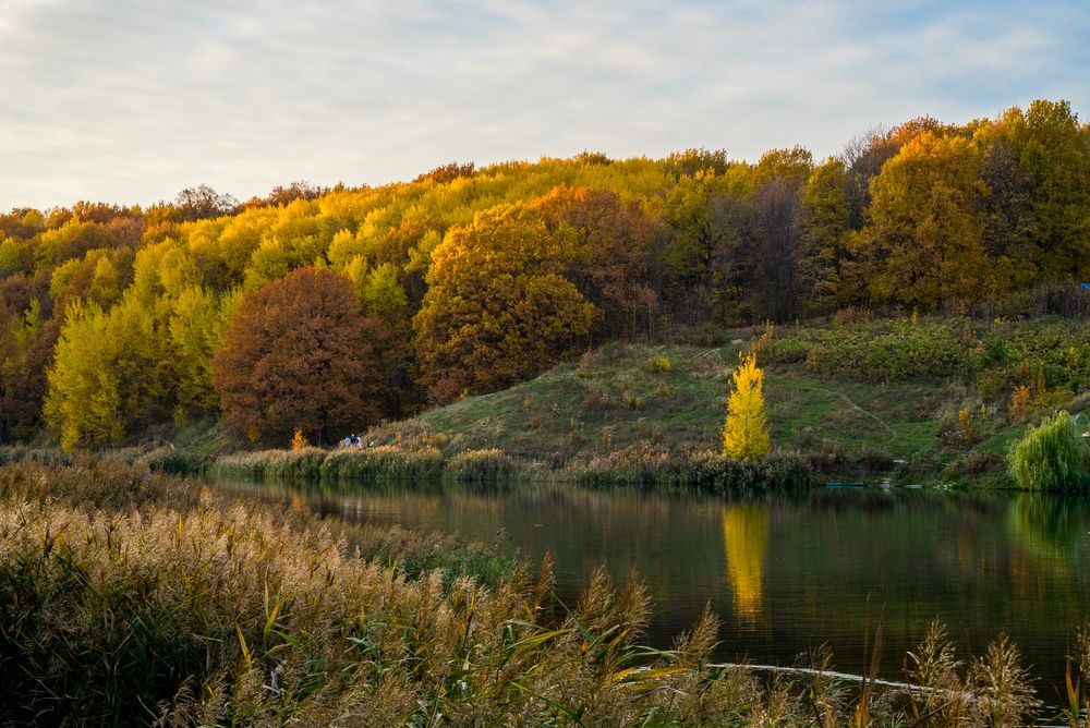Фотография автора Василиса Новикова