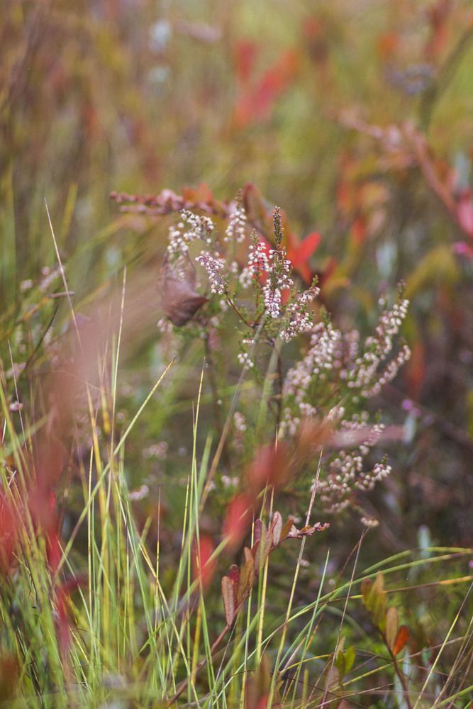 Photograph by Майя Чехова