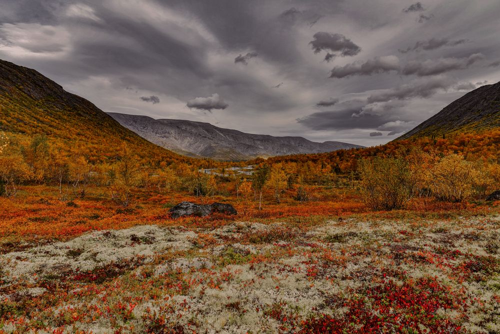 Photograph by Олег Корешонков