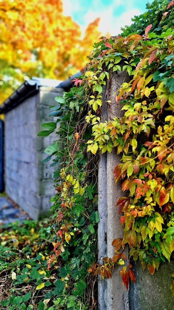 Фотография автора Rafał Piekarski