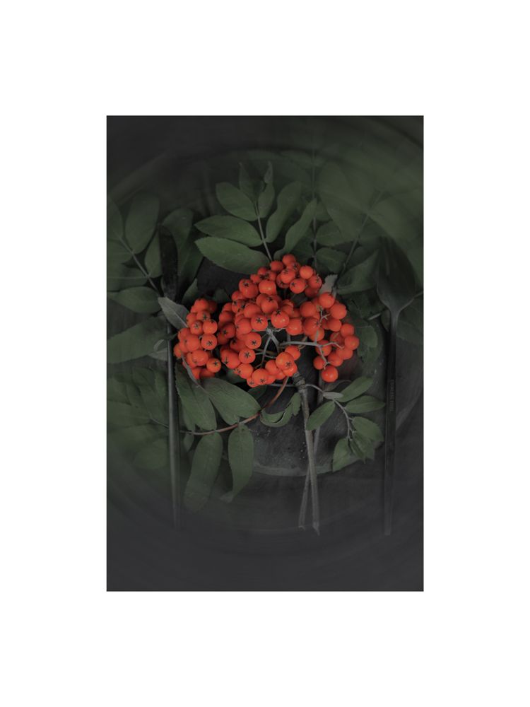 Photograph by Мария Лавриненко