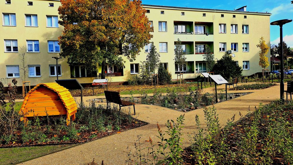 Urban Oasis in Autumn