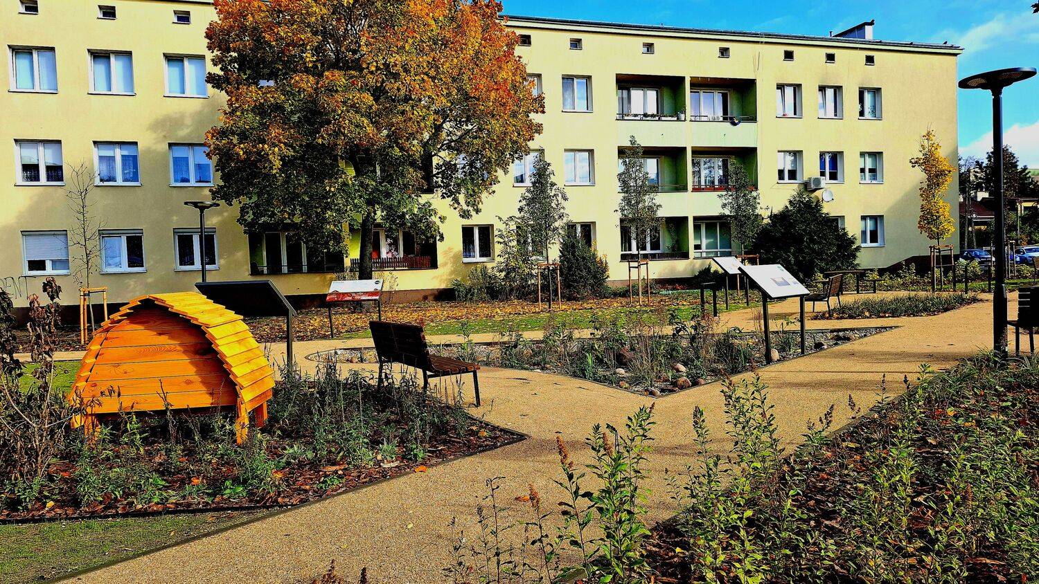 Urban Oasis in Autumn