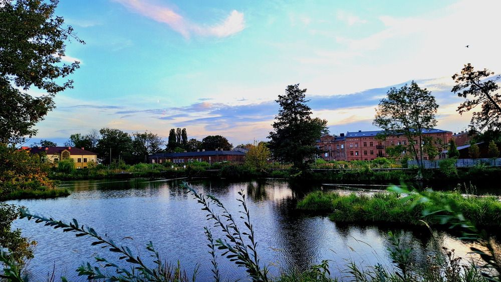 Serene Green Waterfront