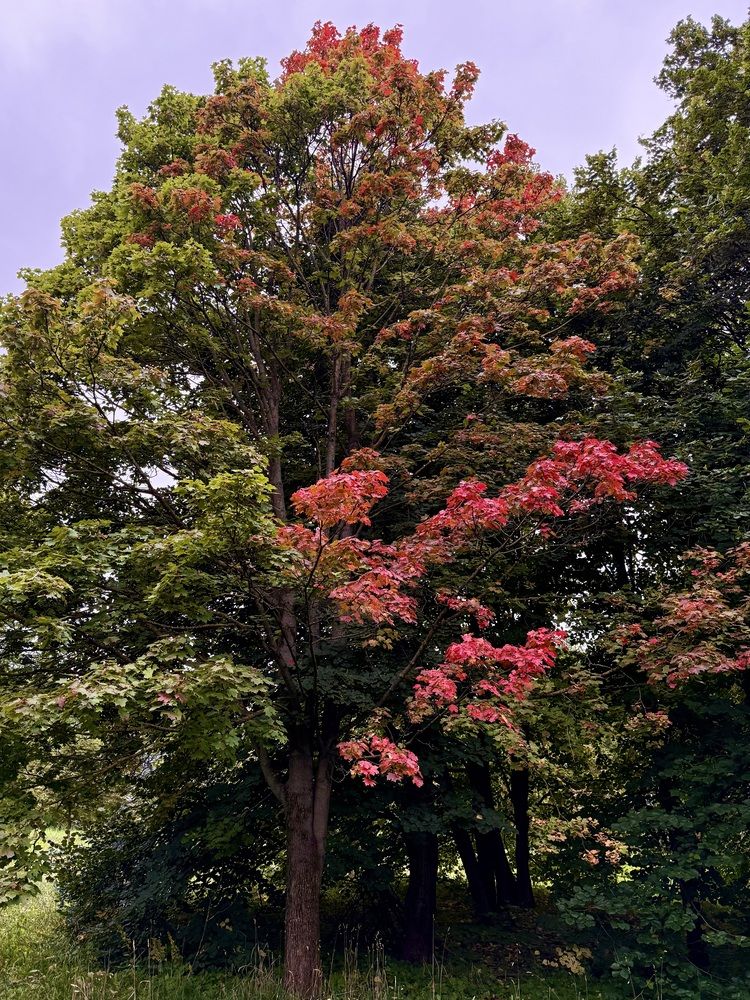 Начало осени