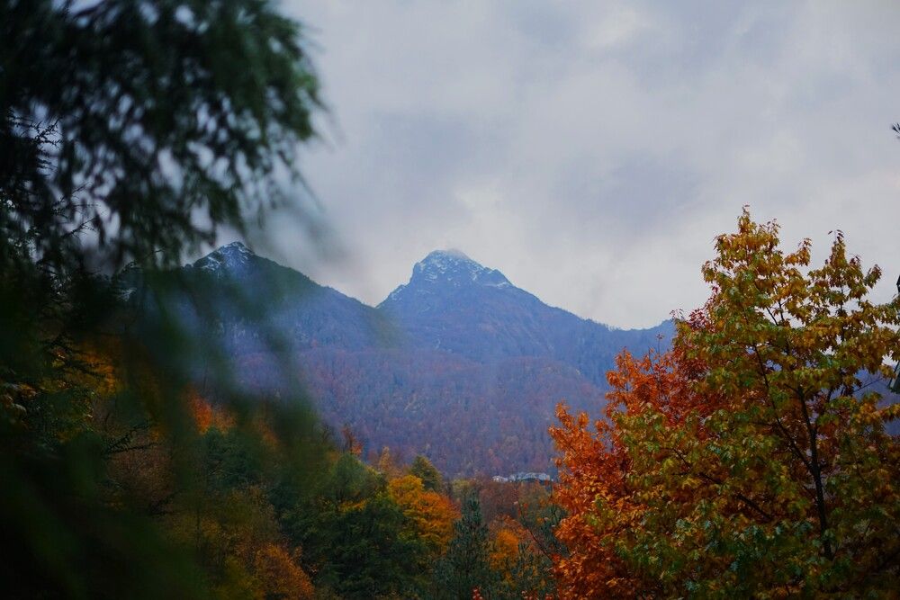 Photograph by Артём Пархоменко