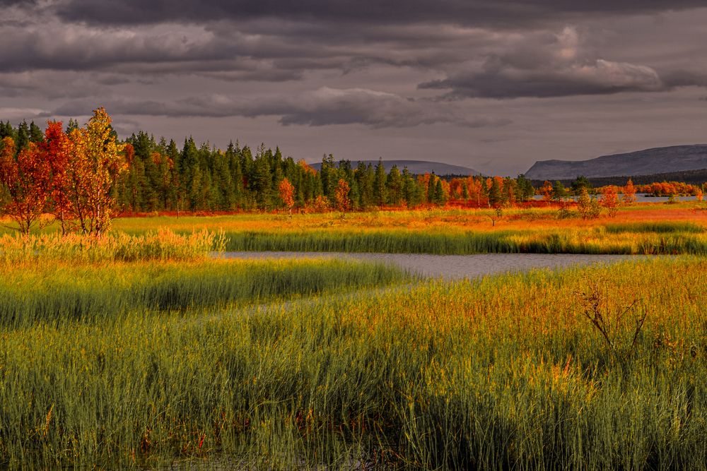 Photograph by Олег Корешонков