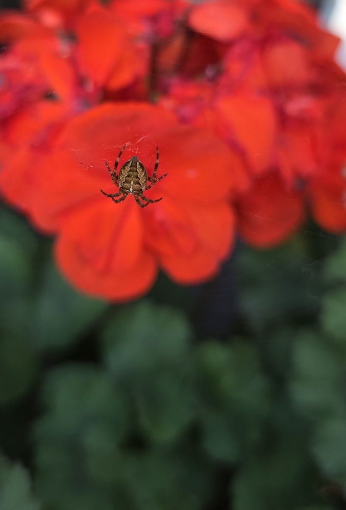 Photograph by Наталья Трофимова