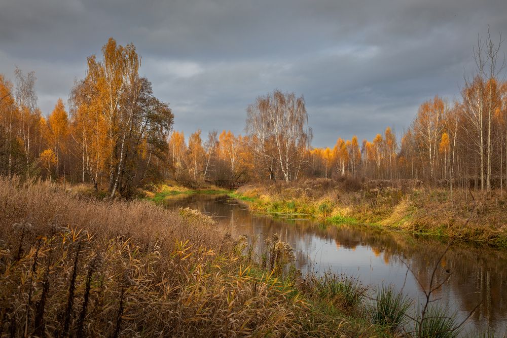 Photograph by Светлана Верзилина