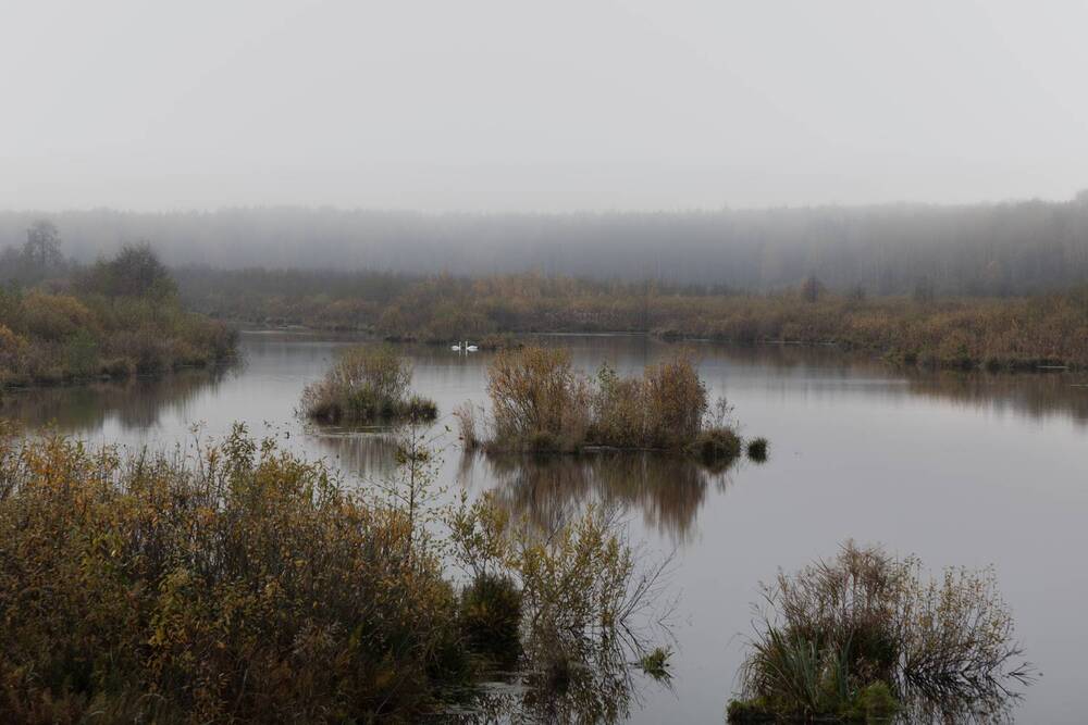 Photograph by Светлана Верзилина