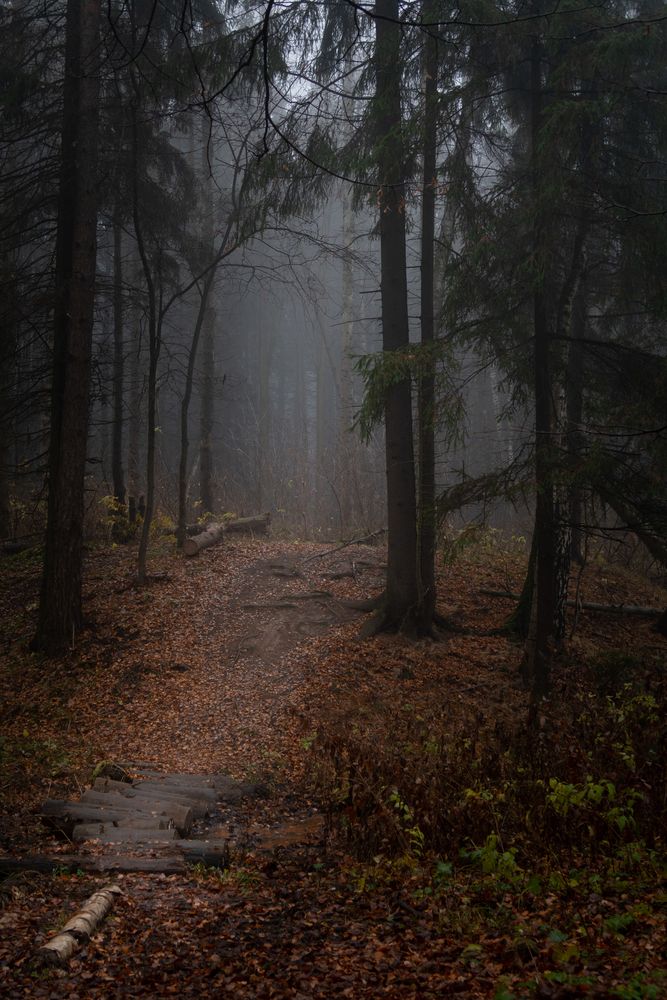 Photograph by Светлана Верзилина