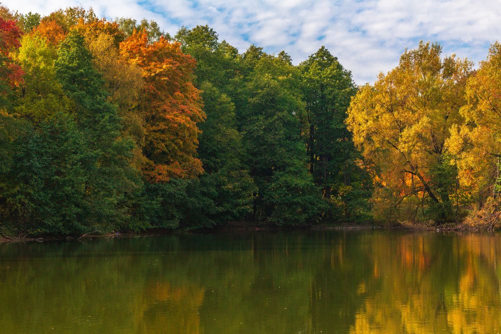 Photograph by Светлана Верзилина