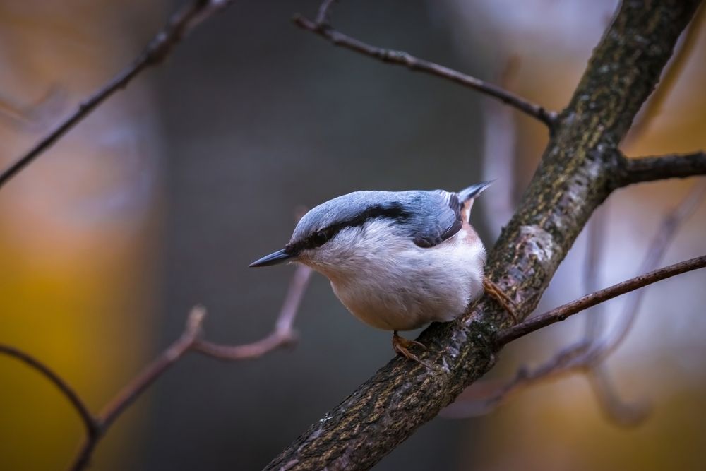 Photograph by Вячеслав Коканов