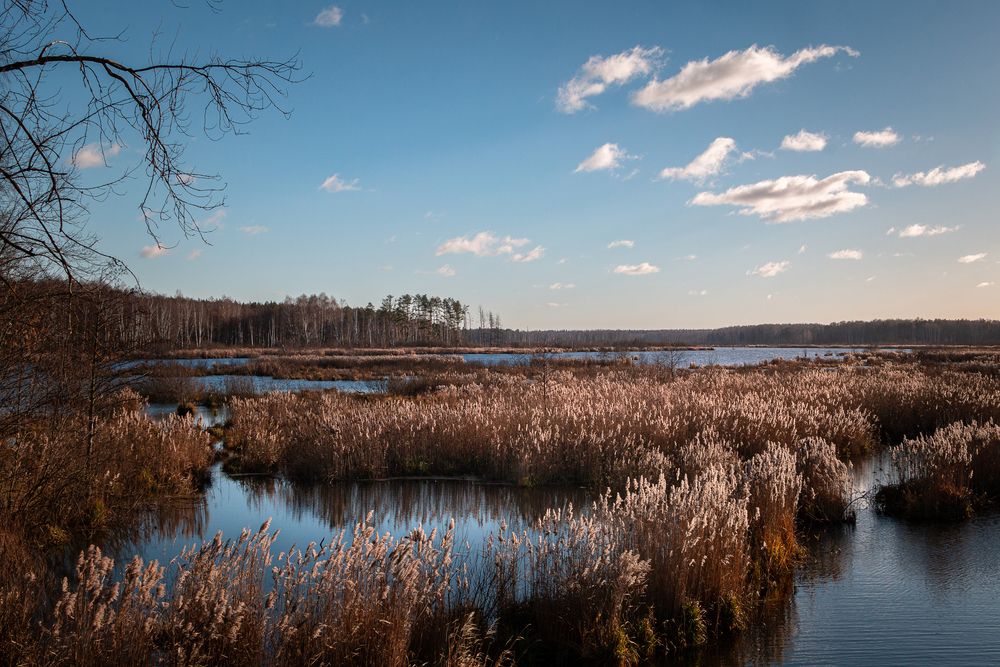 Photograph by Светлана Верзилина
