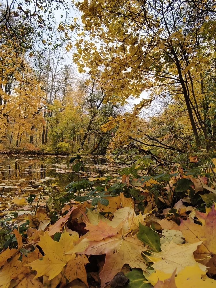 Photograph by Наталия