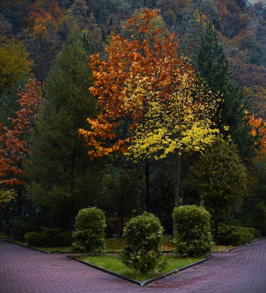 Photograph by Артём Пархоменко