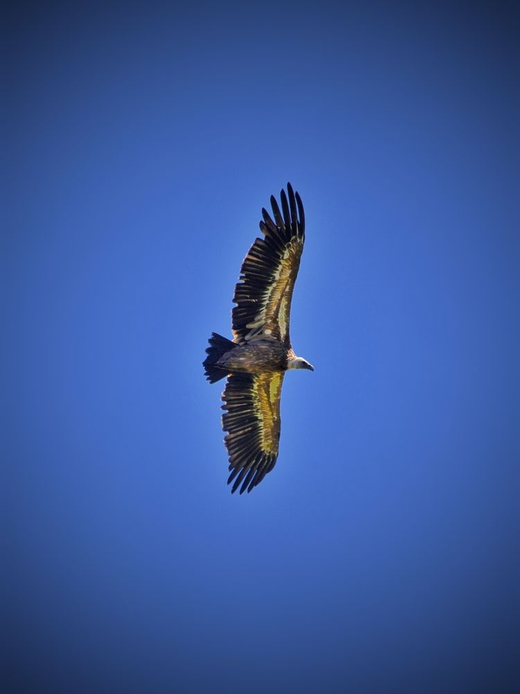 Photograph by Алена Самошина