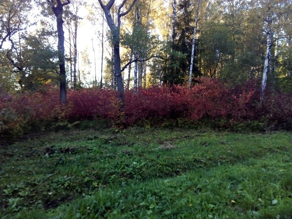 Photograph by Людмила Ковалева