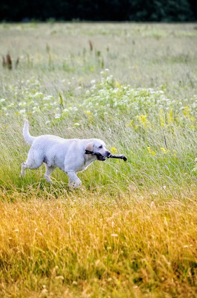 Photograph by Алена Самошина